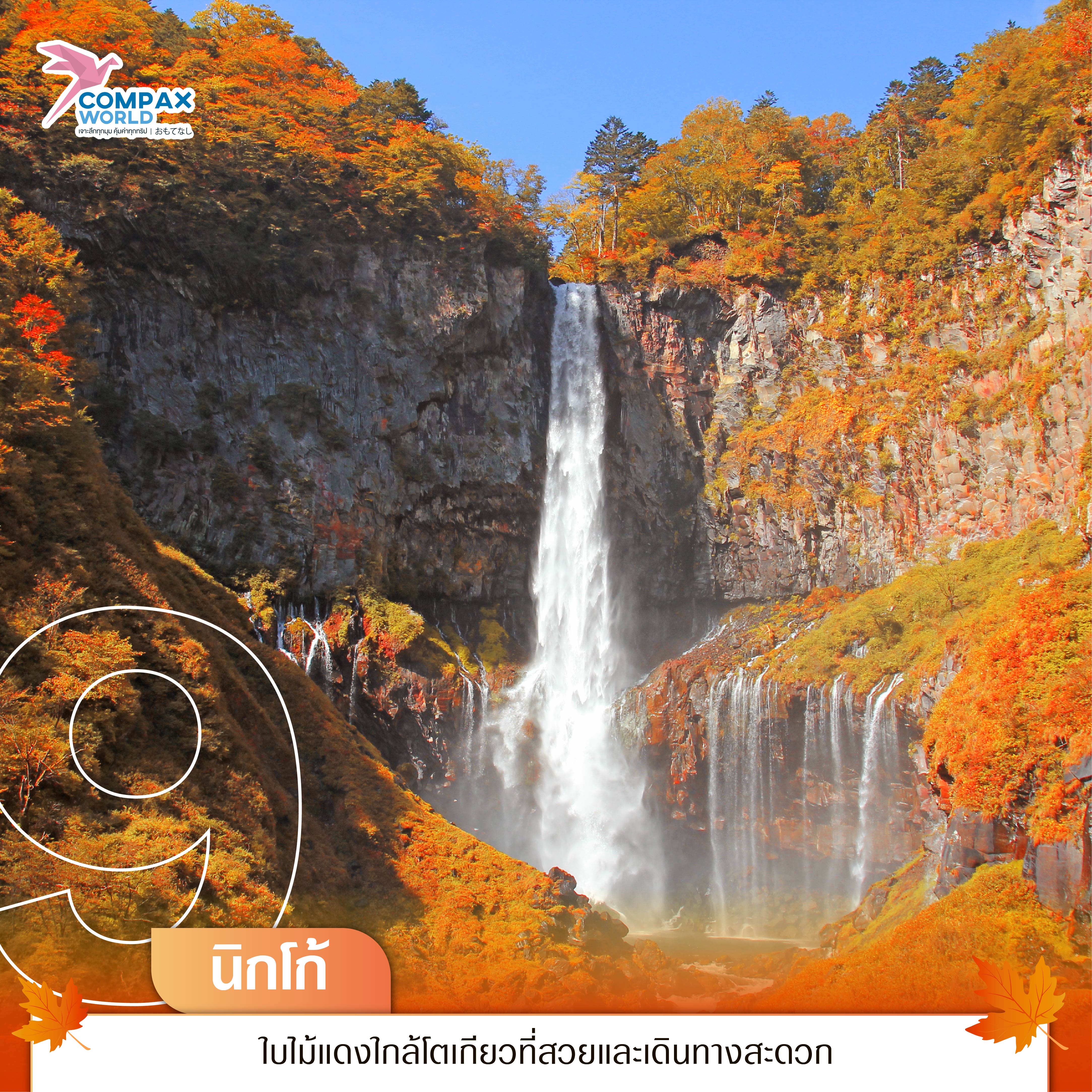 เที่ยวญี่ปุ่น ทัวร์ญี่ปุ่น ทัวร์ญี่ปุ่นพรีเมี่ยม โปรแกรมทัวร์ญี่ปุ่น